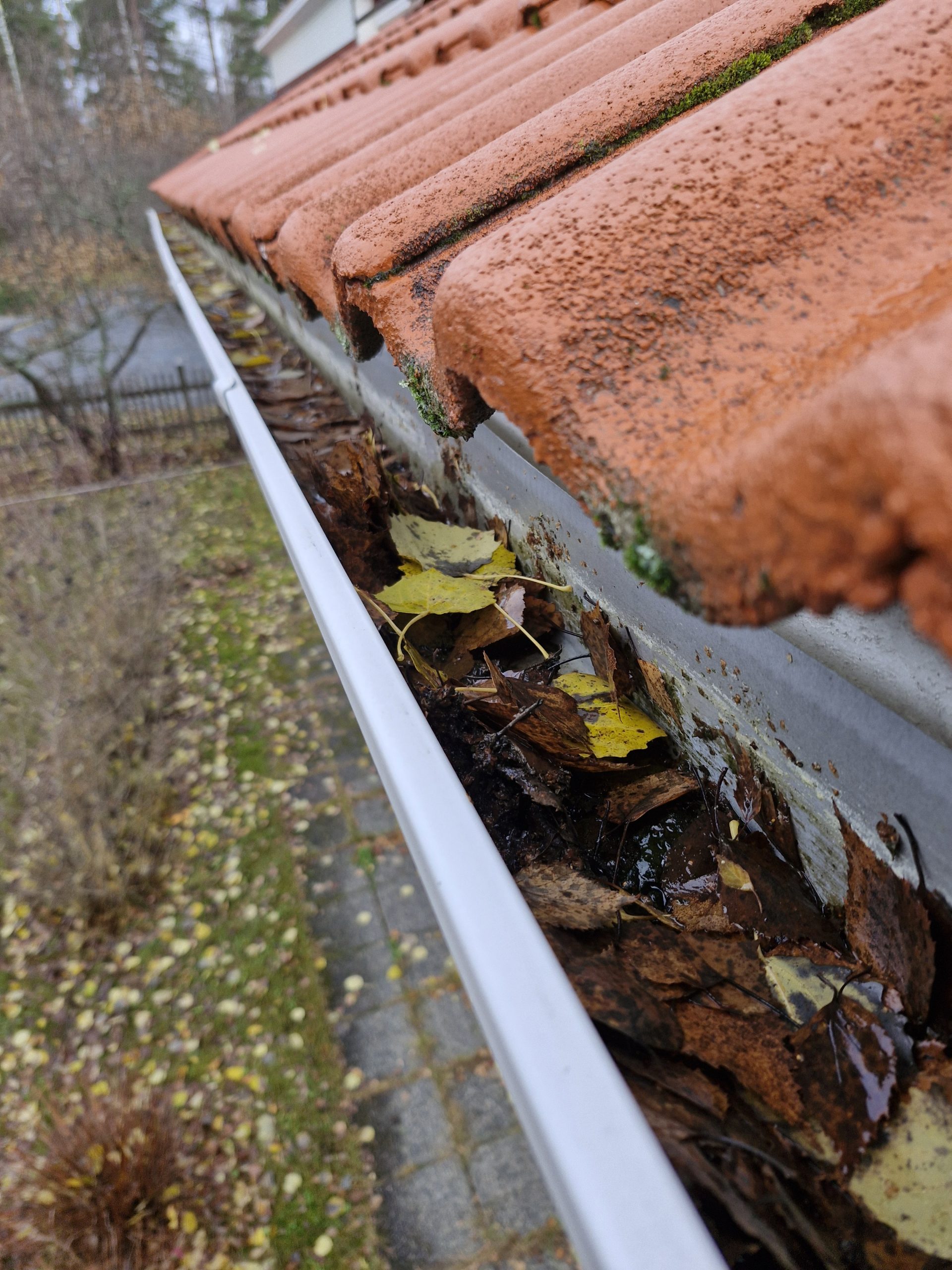 Seinien maalaus, talon maalaus kontiolahti